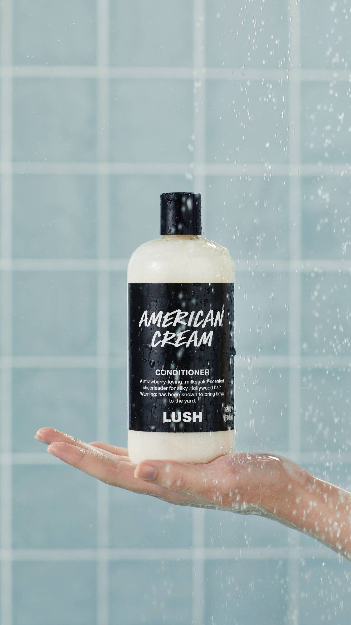 American Cream - US 93142