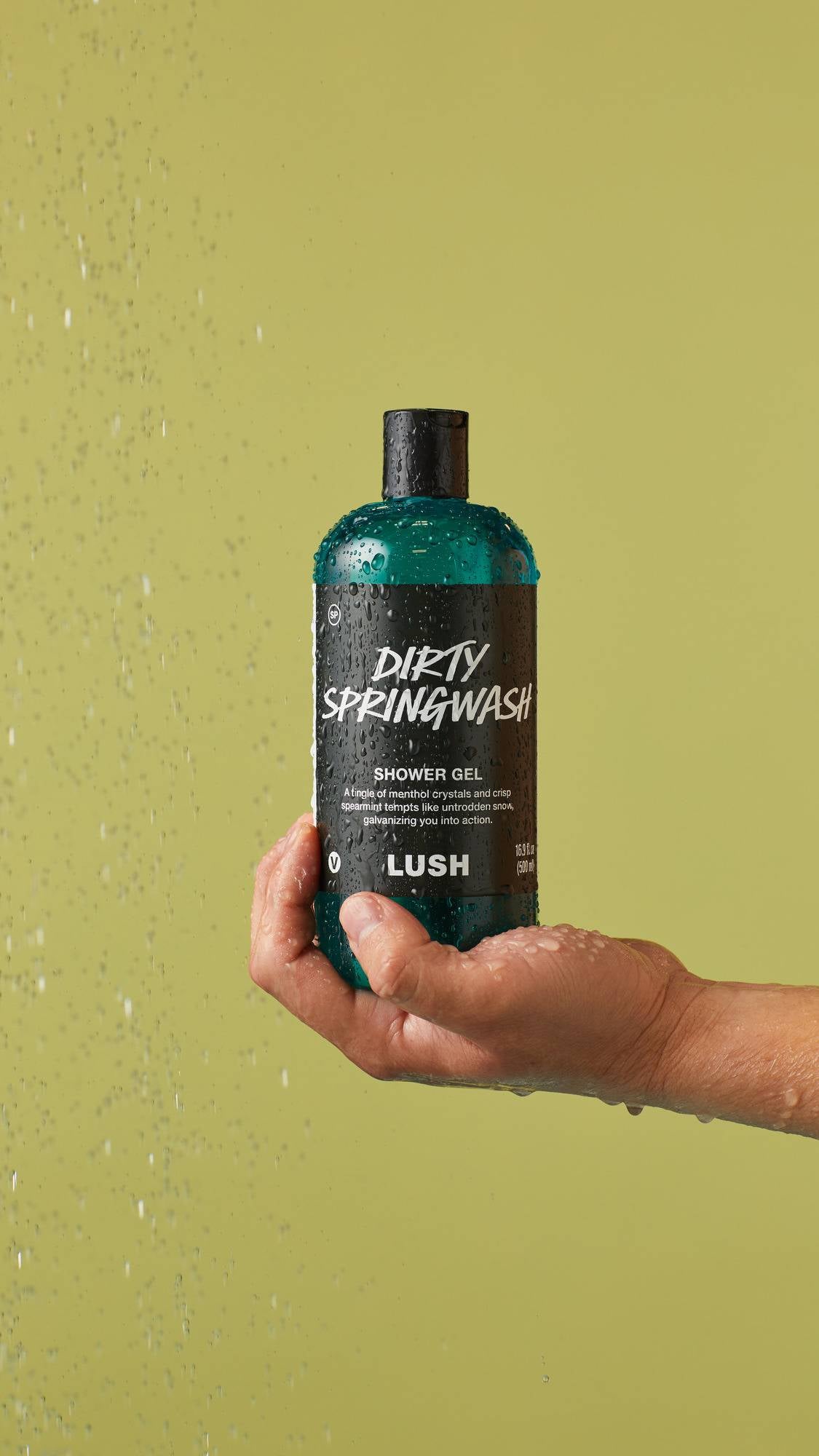 Dirty Springwash - US 58681