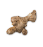 Ginger - US 24200