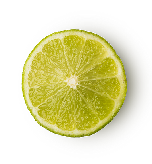 Refresher - US 72085