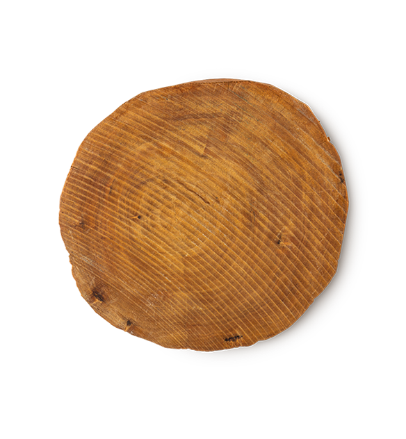 Shade - US 36868